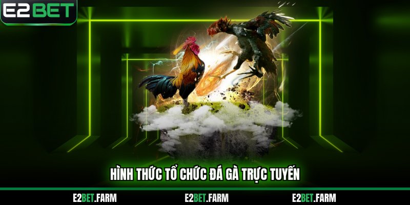 Hình thức tổ chức đá gà